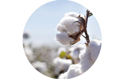 劉潭服裝廠：新生兒衣服選哪種材質好？